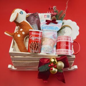 Santa's Sleigh Treasure Trove for Kids
