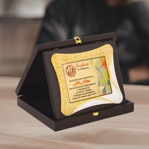 Designer Curved Frame Award Plaque