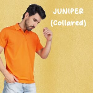 Juniper Matte Mesh Polo Neck Dry Fit T-Shirt (150–160 GSM, Micro Polyester)