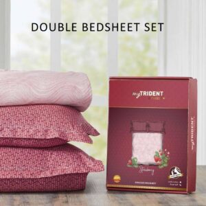 Aroma Double Bedsheet Set Cotton 144 TC