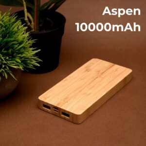 Aspen 10000mAh Power Bank