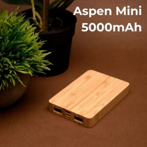 Aspen Mini Power Bank