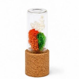Forest Pod - Tricolour
