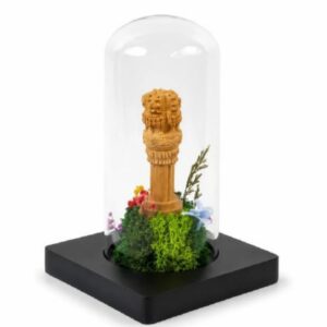 Forest Tower With Ashok Pillar